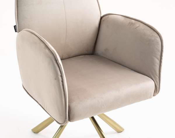 HOKER HR280 LATTE WELUR ZŁOTA PAJĄK