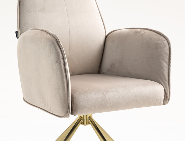 HOKER HR280 LATTE WELUR ZŁOTA PAJĄK