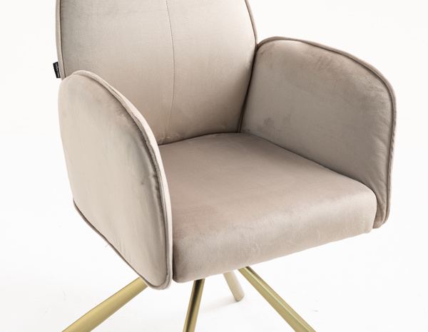 HOKER HR280 LATTE WELUR ZŁOTA PAJĄK